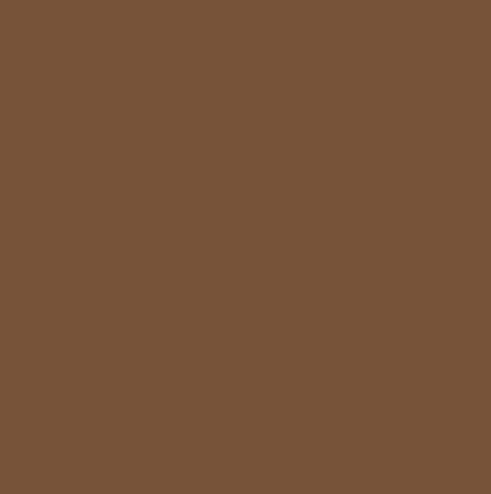 Faïence Arte One Archicolor moka brillant 19,8X19,8cm
