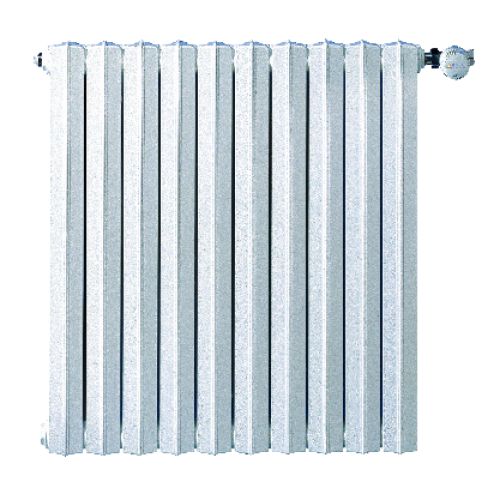 Elément de radiateur en fonte SAVANE/RAFAEL 2 type S4 119 watts hauteur 630 mm largeur 65 mm profondeur 142 mm Réf. C13346000