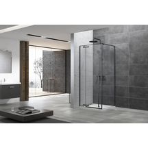 Paroi de douche Alterna Daily accès de face porte pivotante (fixe + pivot) profilé noir mat longueur 100 cm