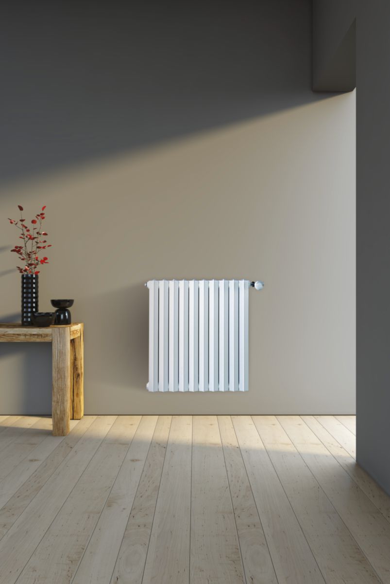 Elément de radiateur en fonte SAVANE/RAFAEL 2 type S4 119 watts hauteur 630 mm largeur 65 mm profondeur 142 mm Réf. C13346000